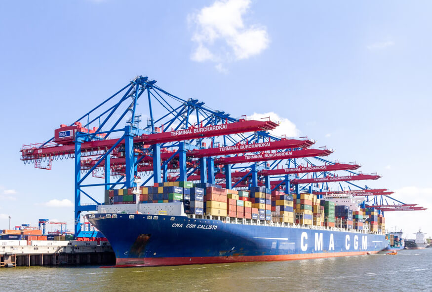 Dedicated Customer Support